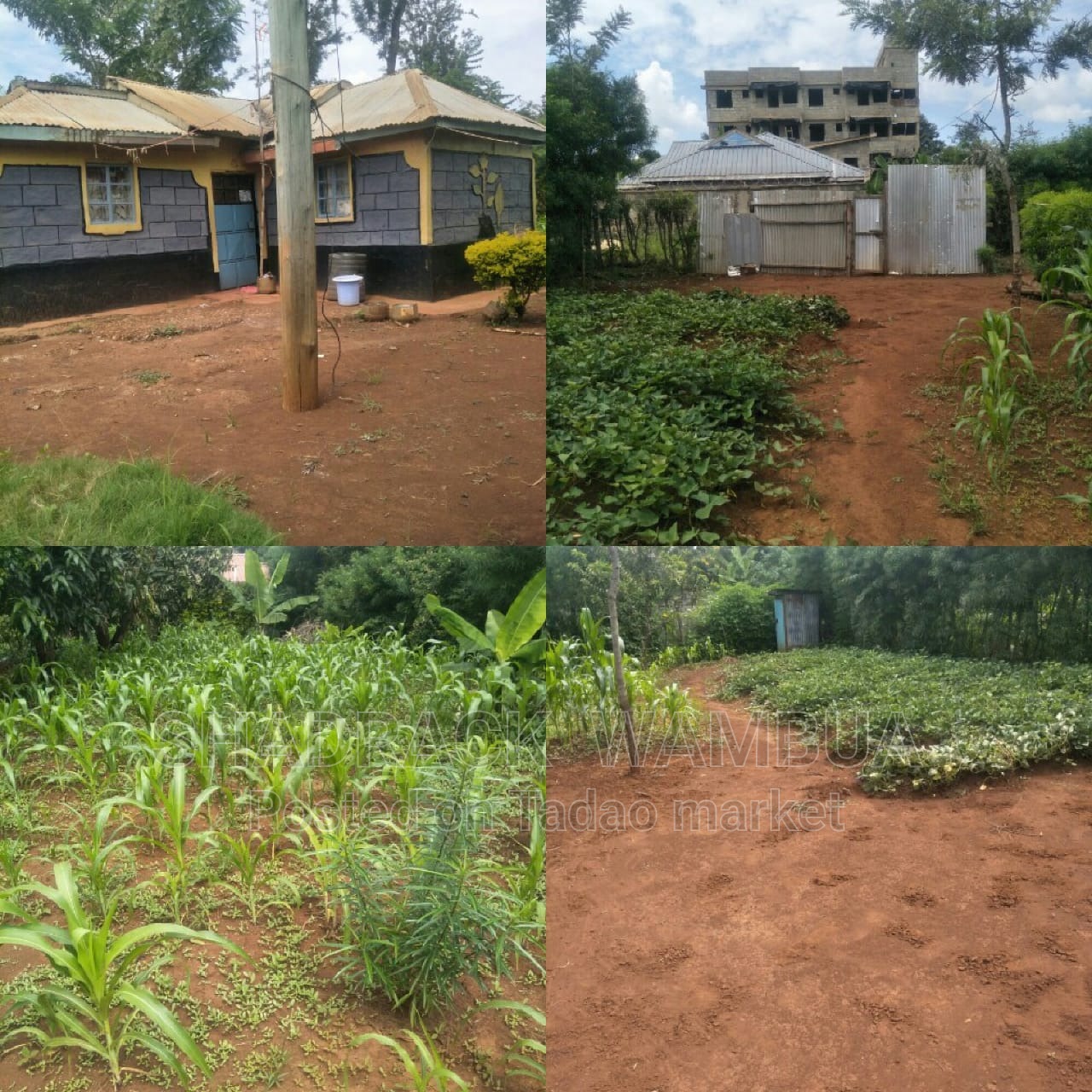 Land for sale 2