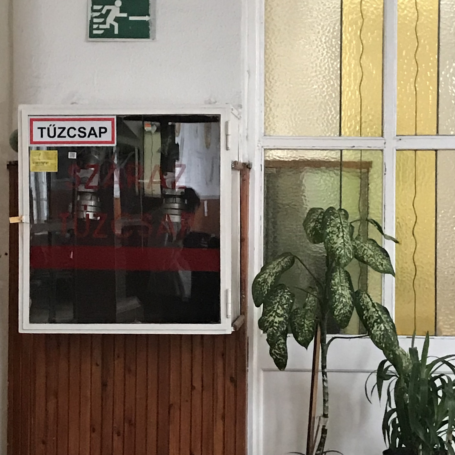 Tűzcsap