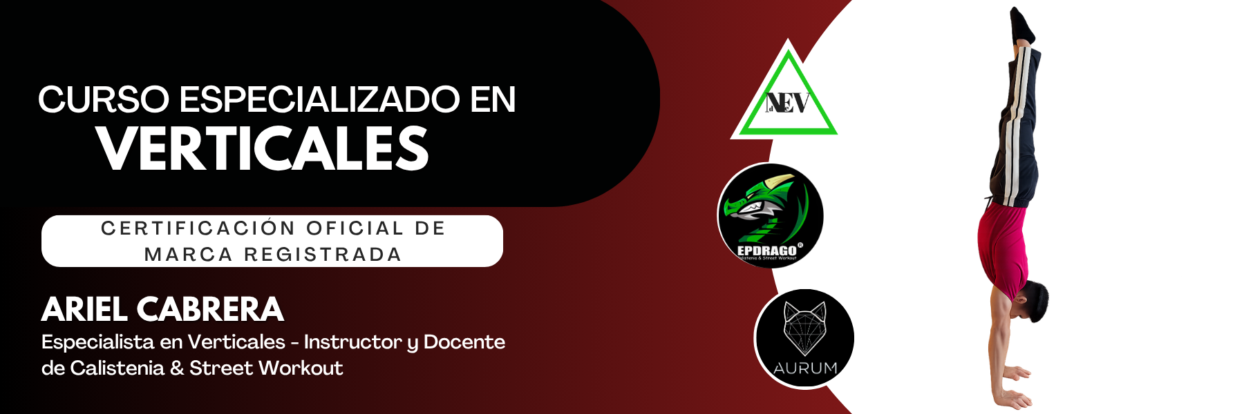 Curso Especializado en VERTICALES - HANDSTAND