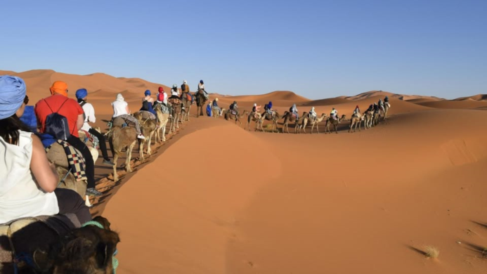  Discover Morocco: Sahara Adventures, Travel Guides, and Tour Packages 