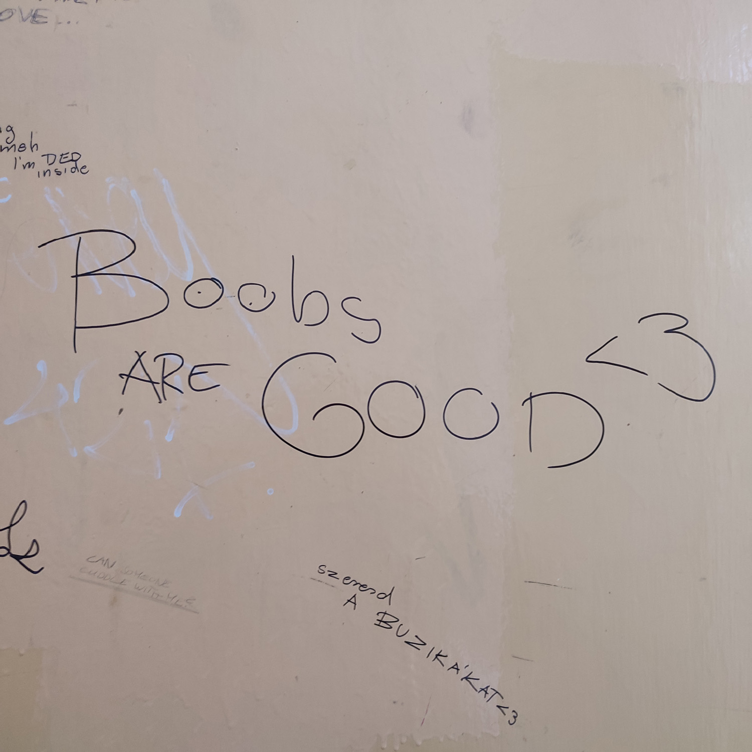 Boobs