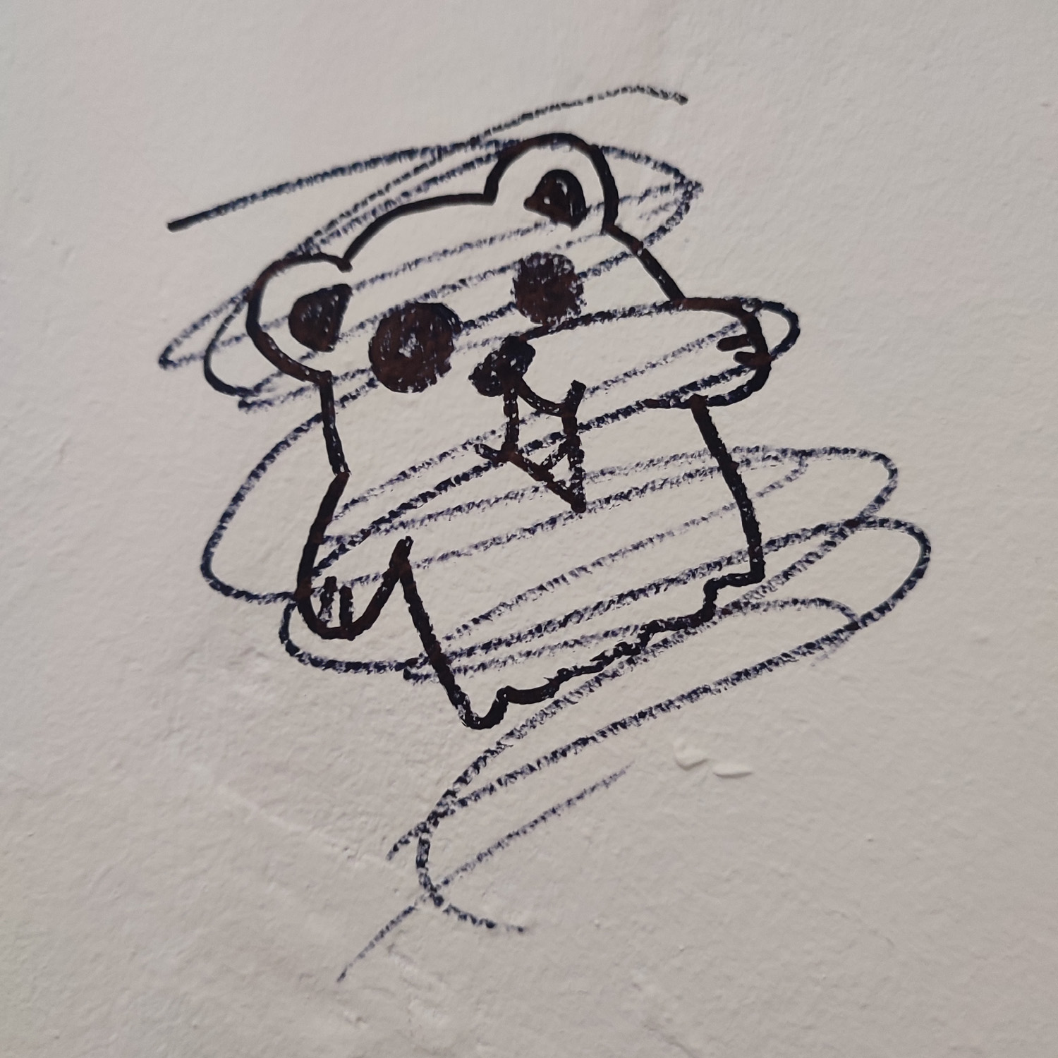 Maci