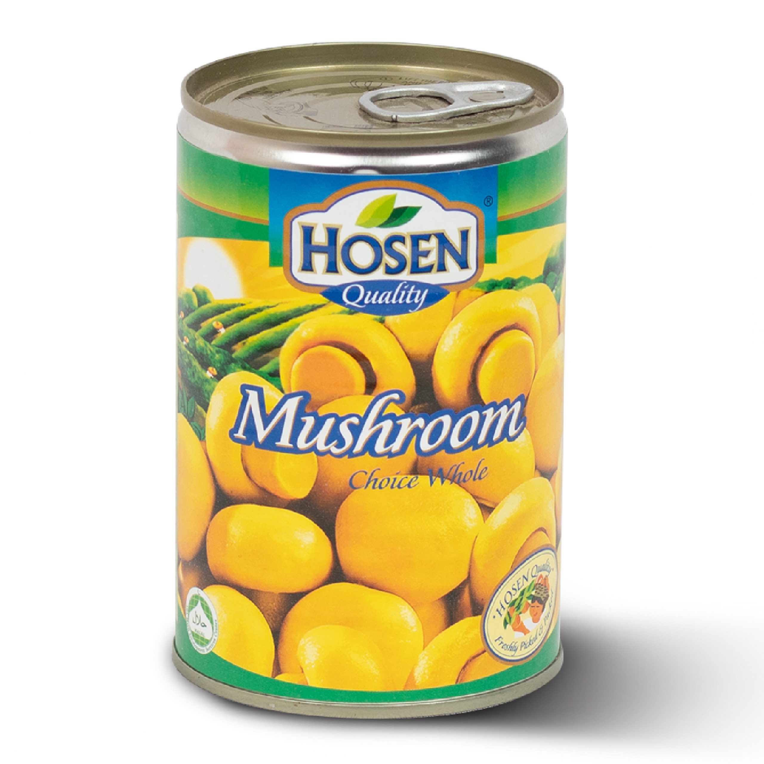 BDyana Hosen Mushroom Whole Canned Food 425gm | 