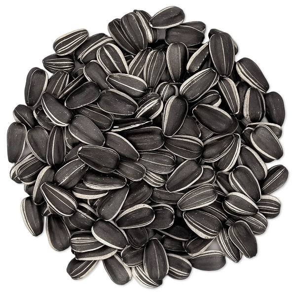 Sunflower Seeds 500gm - Buy online at BDyana
