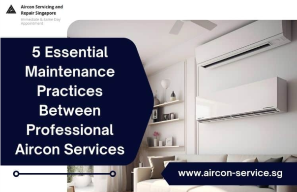 5 Simple Maintenance Tips Between Aircon Servicing Appointments in Singapore