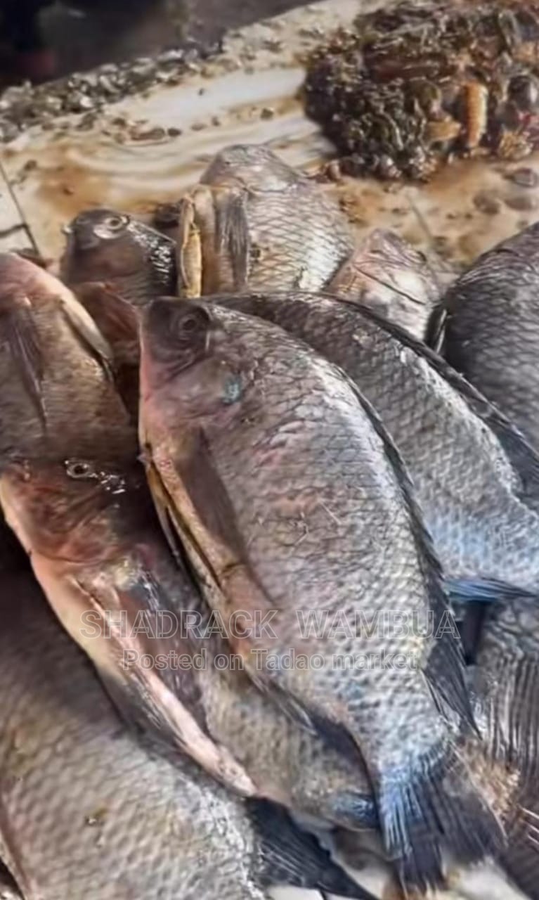 Fresh Farm Fish 2