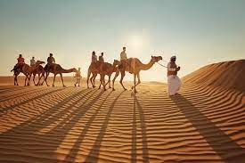 Discover the Magic of the Desert with Travllor: 3-Hour Camel Trekking in Dubai for Only 249 AED