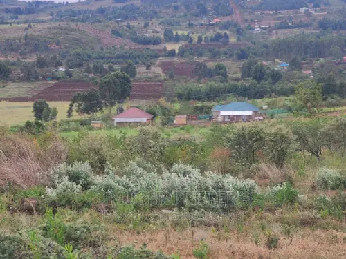 Kamangù, Ndigù-inì - Prime Plot