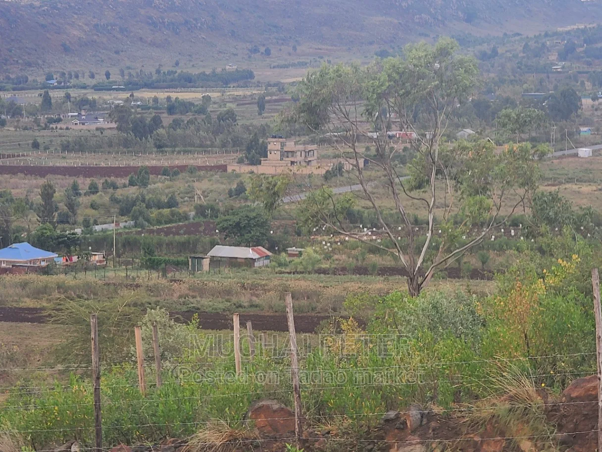 Kamangù, Ndigù-inì - Prime Plot 12