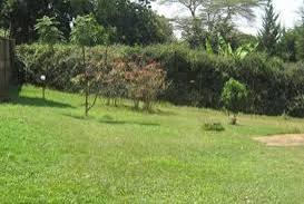 Land for sale 2