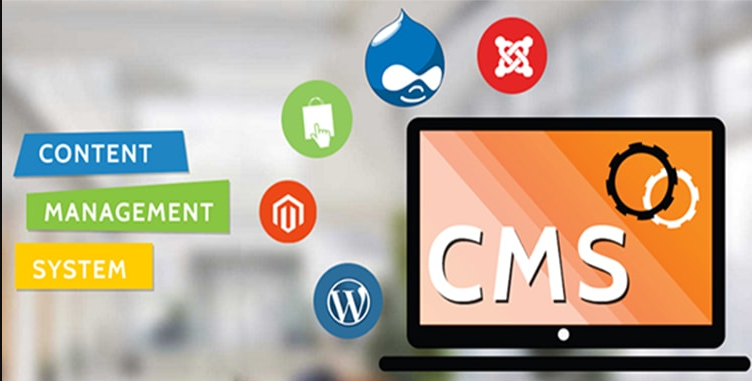 CMS Website Design Singapore