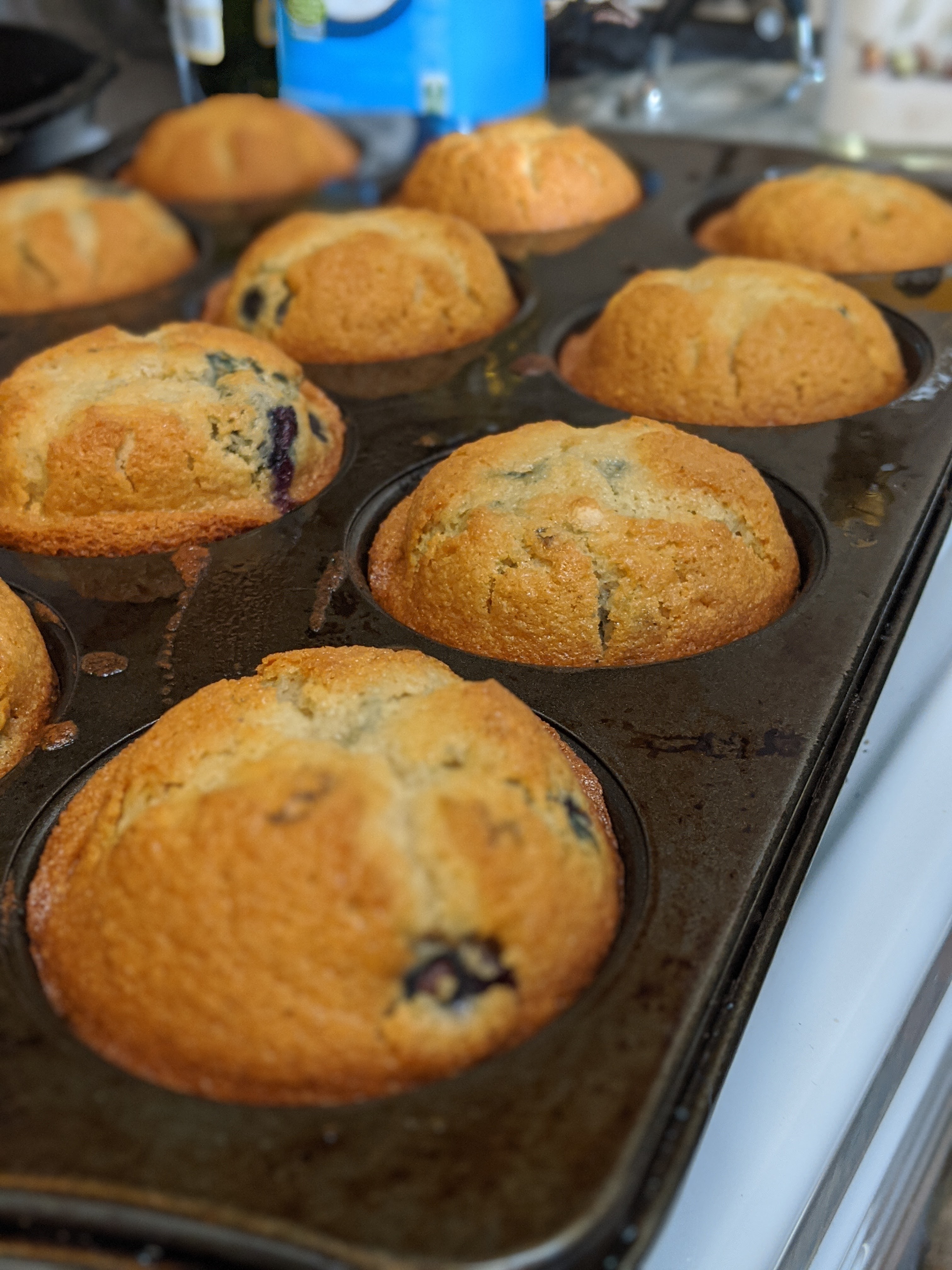 Sydney G's Gluten Free Perfect Muffins