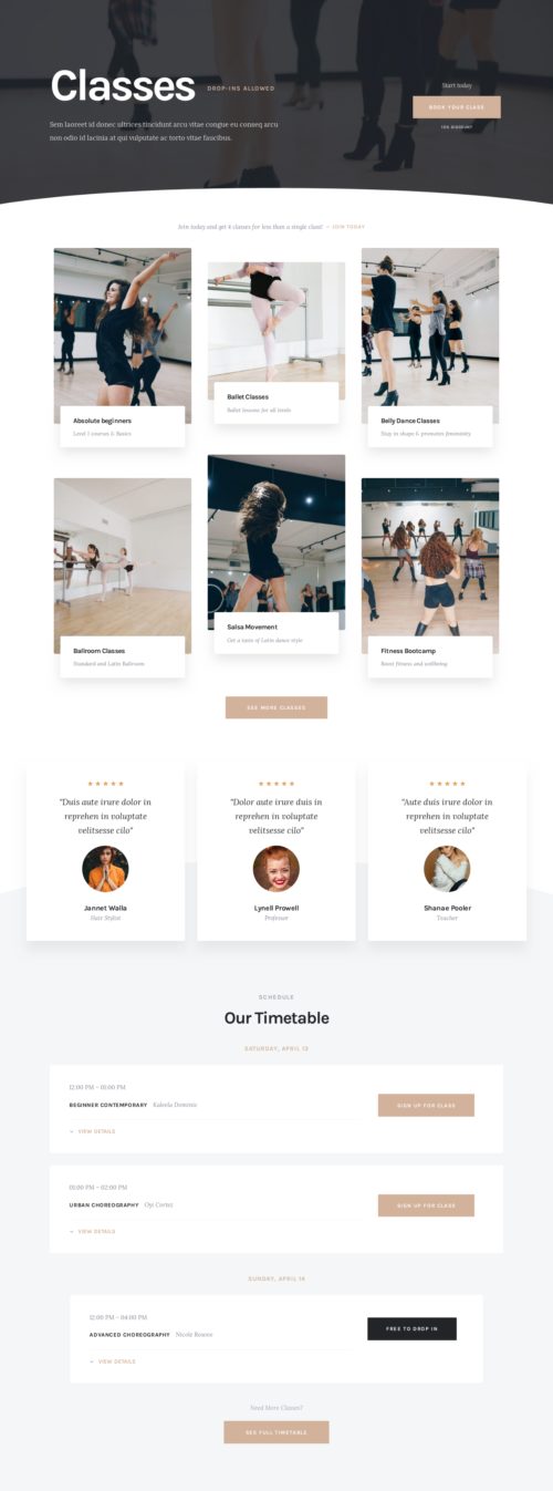 Dance School Classes