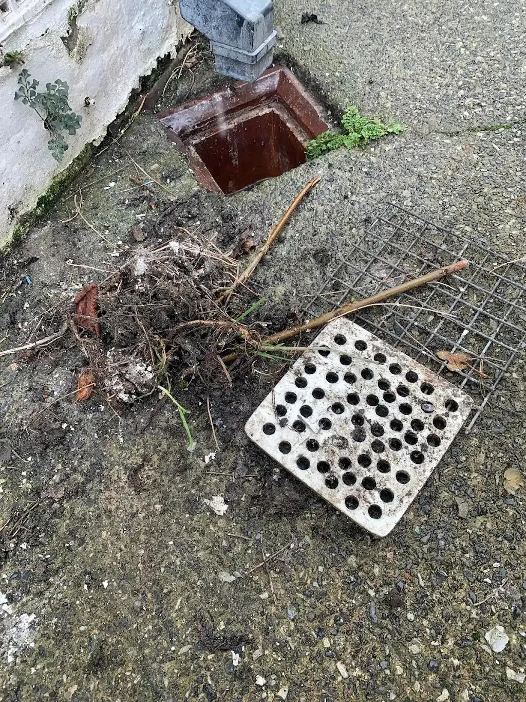 Debris and roots cleared from an outdoor drain gully in Durham