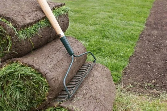 Rolls of natural turf and a rake for lawn laying