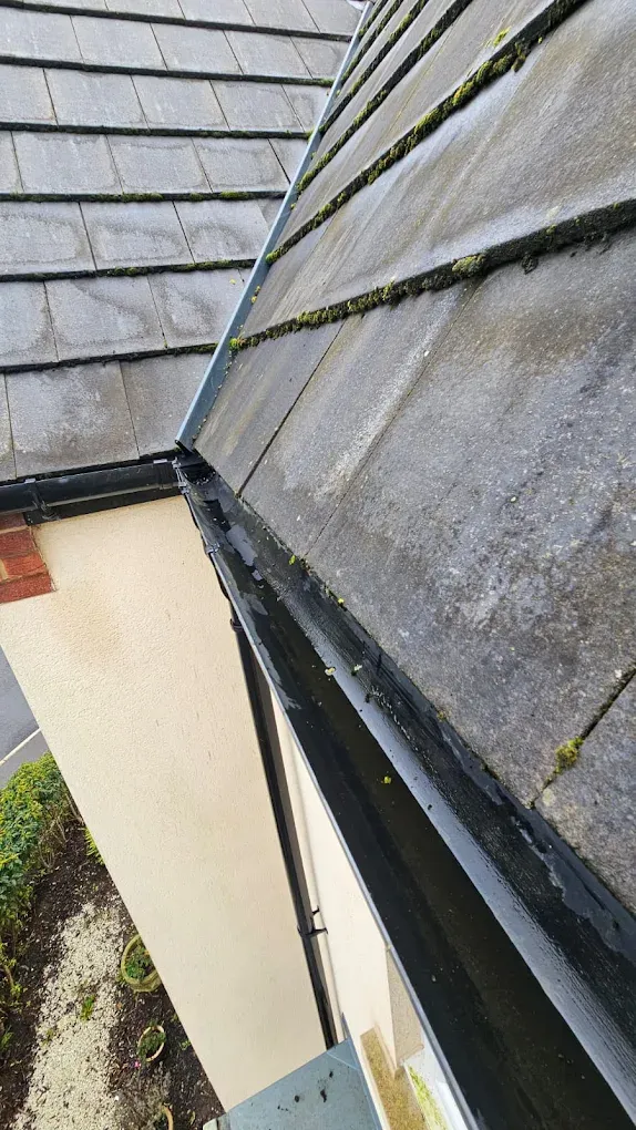 Residential roof gutter filled with water and leaves, indicating needed cleaning or maintenance.