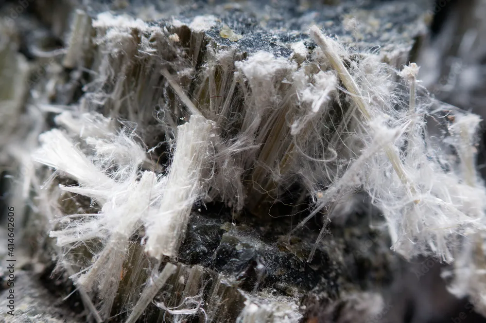 Close-up view of white asbestos fibres