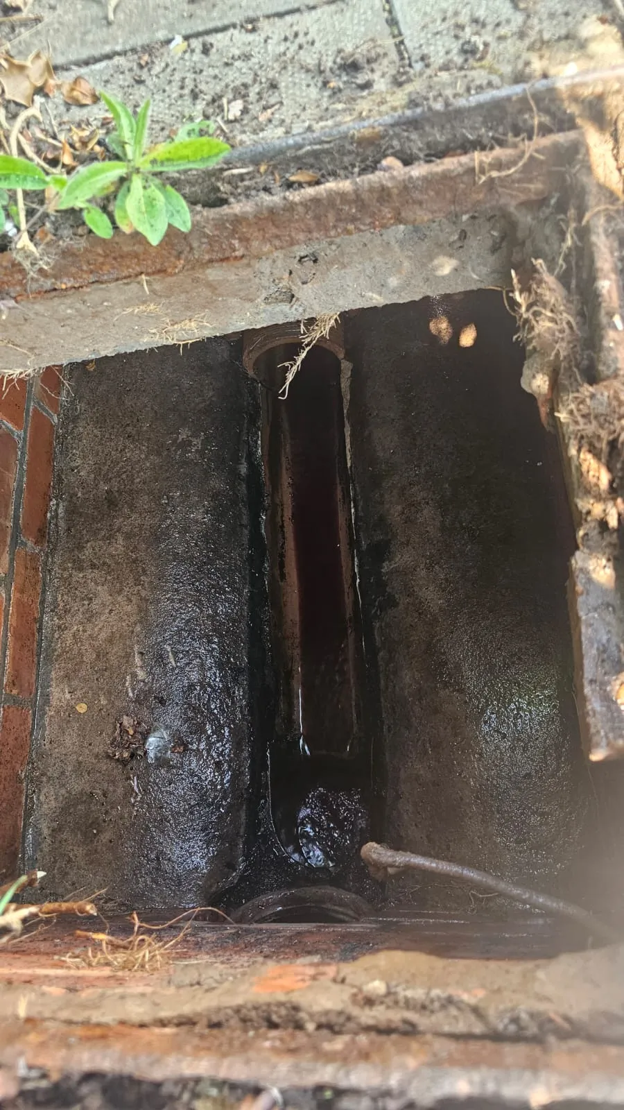 An open residential drain with dirty, standing water and debris, suggesting a blockage
