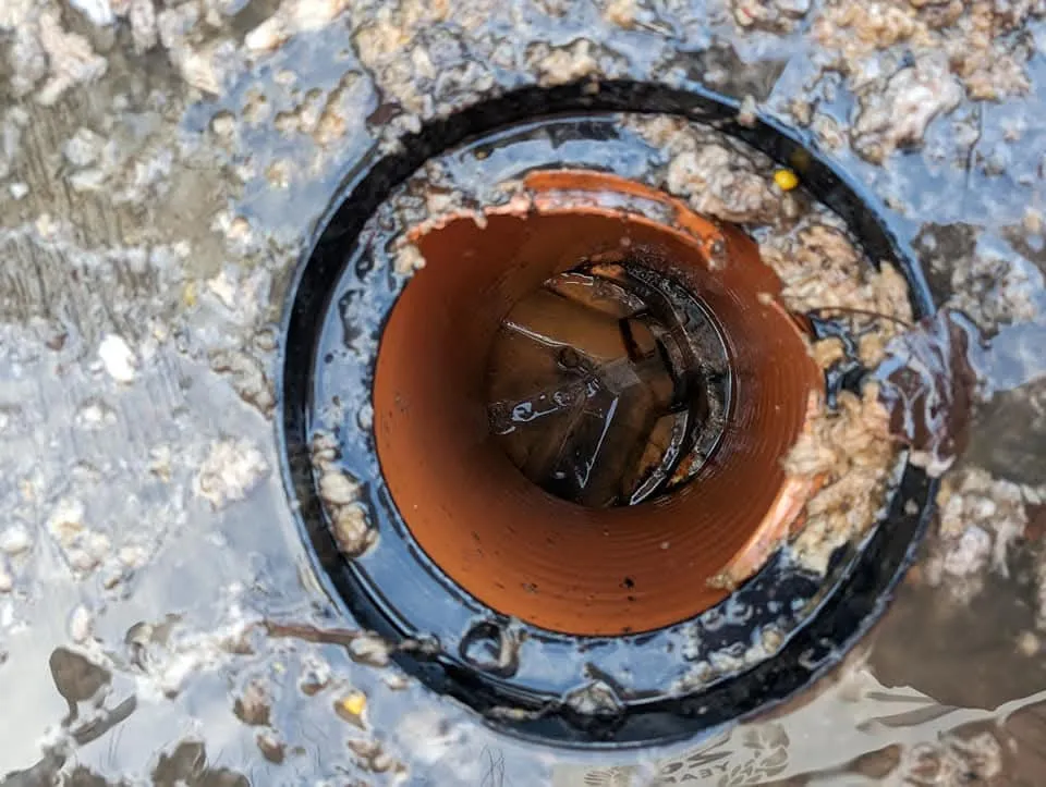 Blocked outdoor drain opening