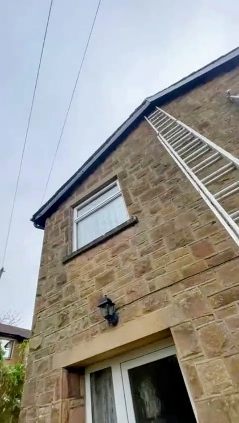 Ladder leaning against the stone side of a house, reaching the roofline with dark grey fascias, soffits, and guttering.
