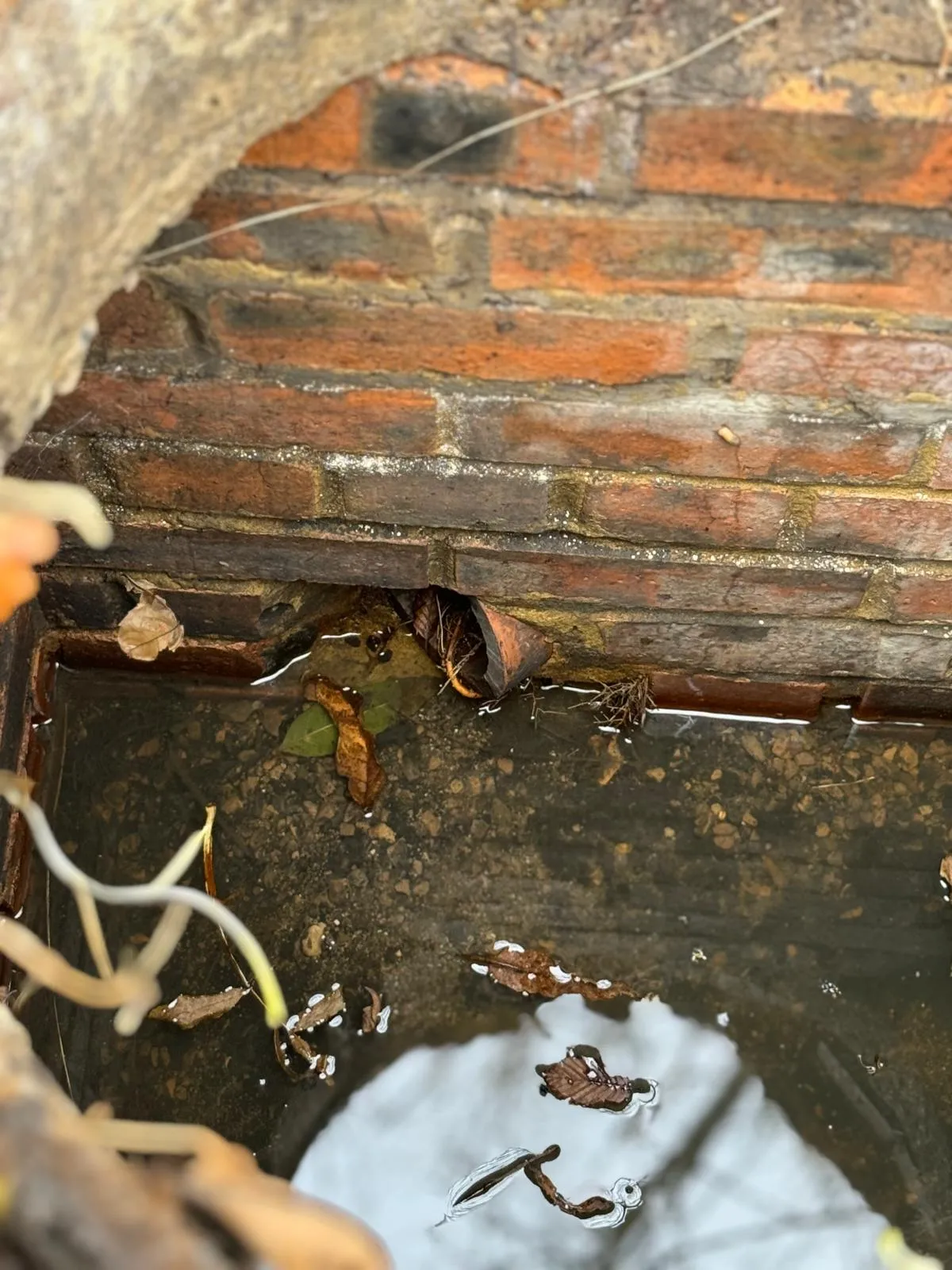 An outdoor drain filled with murky water and fallen leaves, showing a blocked pipe entrance in a brick wall.