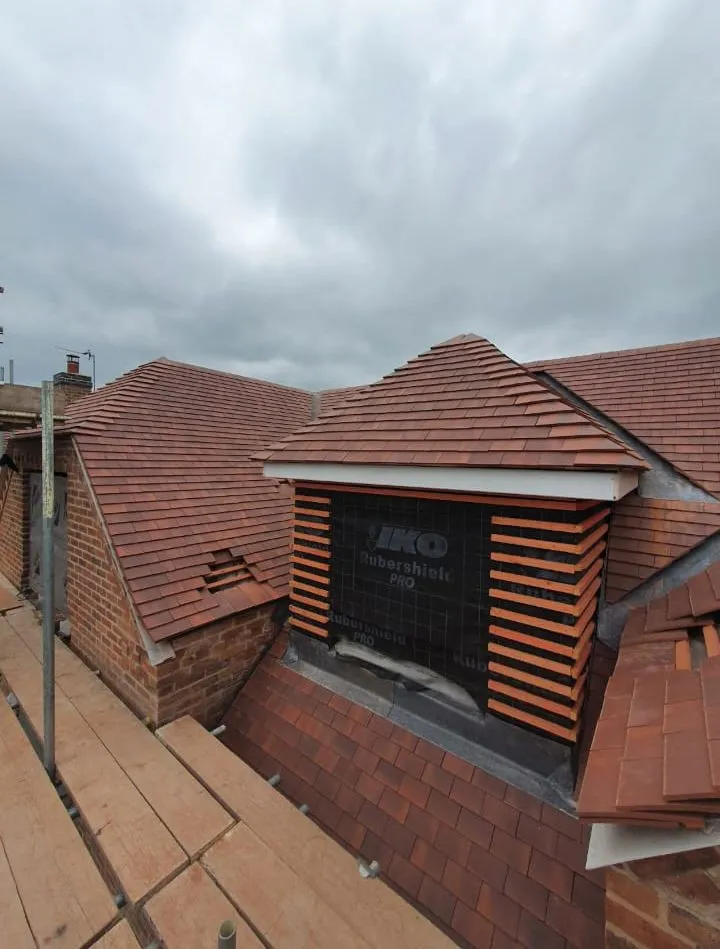 WhatsApp Image 2025-07-29 at 19.25.48.jpeg.webp