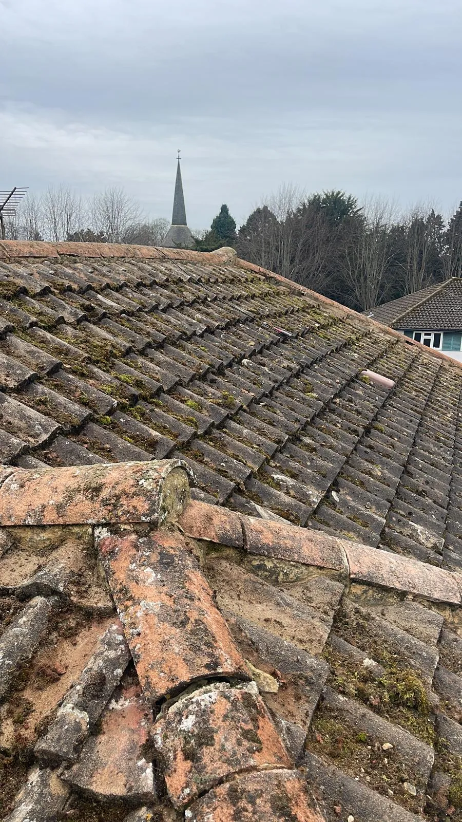 An old, dirty tiled roof covered in green moss, with a church steeple in the distance under a cloudy sky.