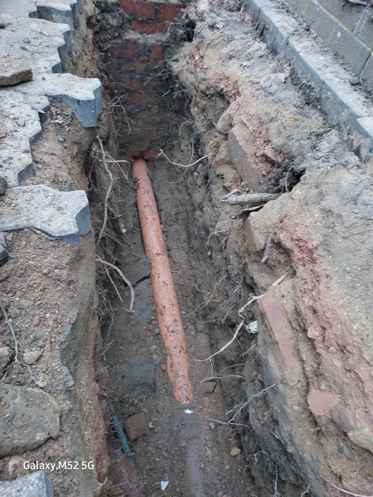 An orange drainage pipe visible in an excavated trench, surrounded by soil and tree roots, representing drain repair or installation.