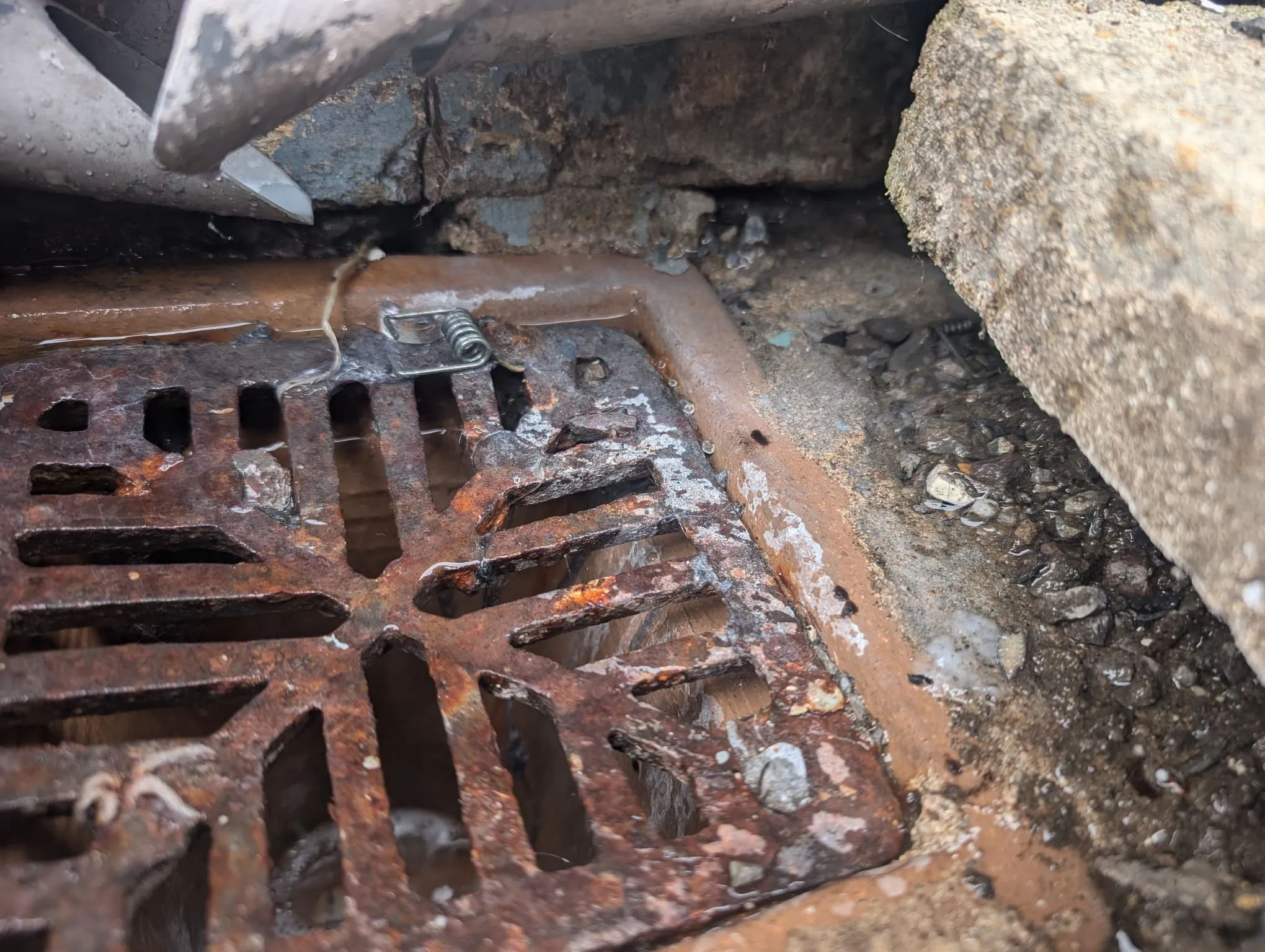 Outdoor drain grate showing standing water and debris