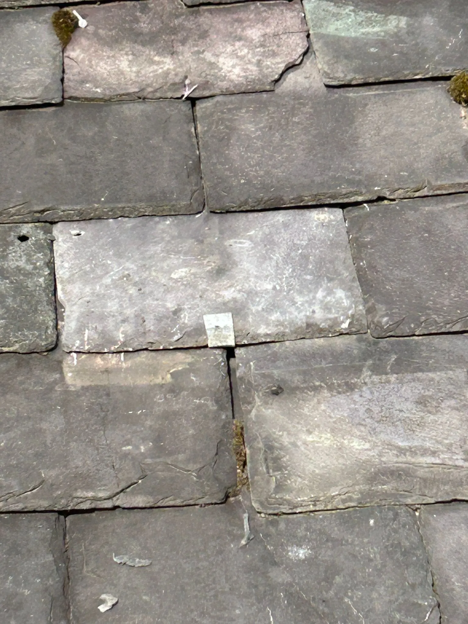 Close-up of weathered grey roof tiles, with one lighter replacement tile visible.