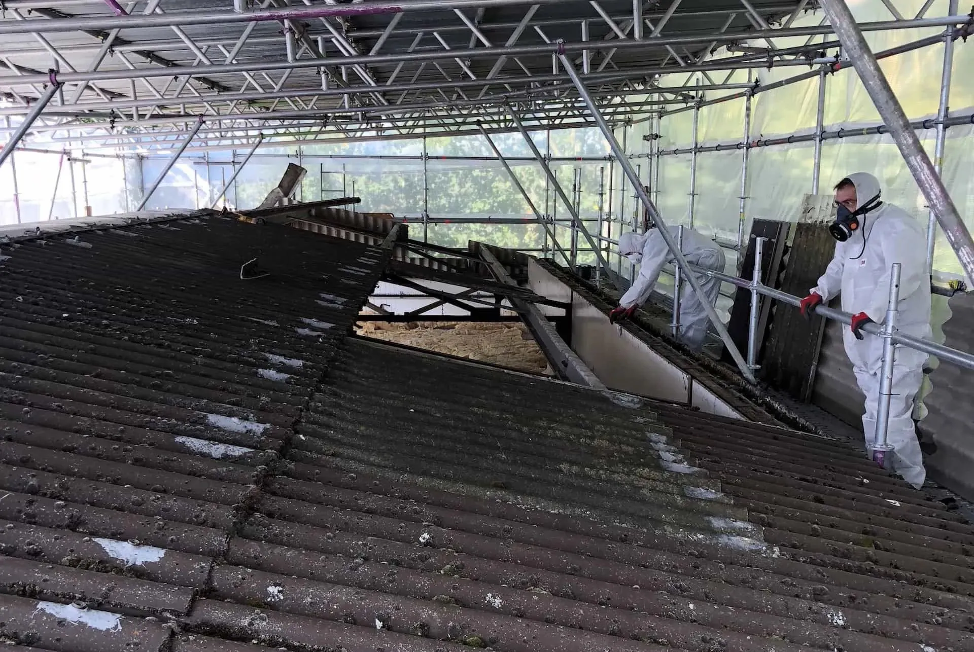 Professional asbestos removal team in PPE safely dismantling a corrugated asbestos cement roof under scaffold containment.