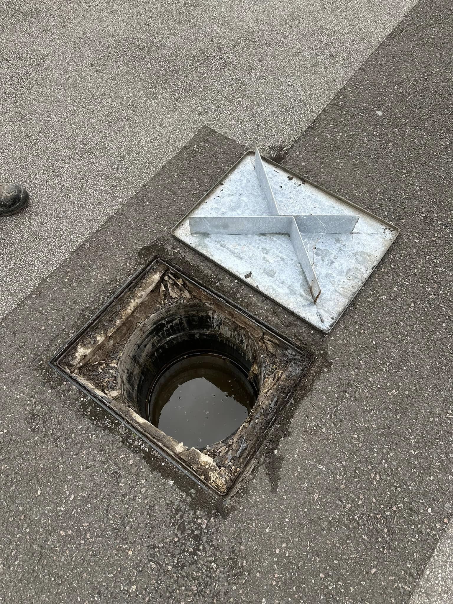 Expert Root Ingress Detection for Drains in Upton & Torbay