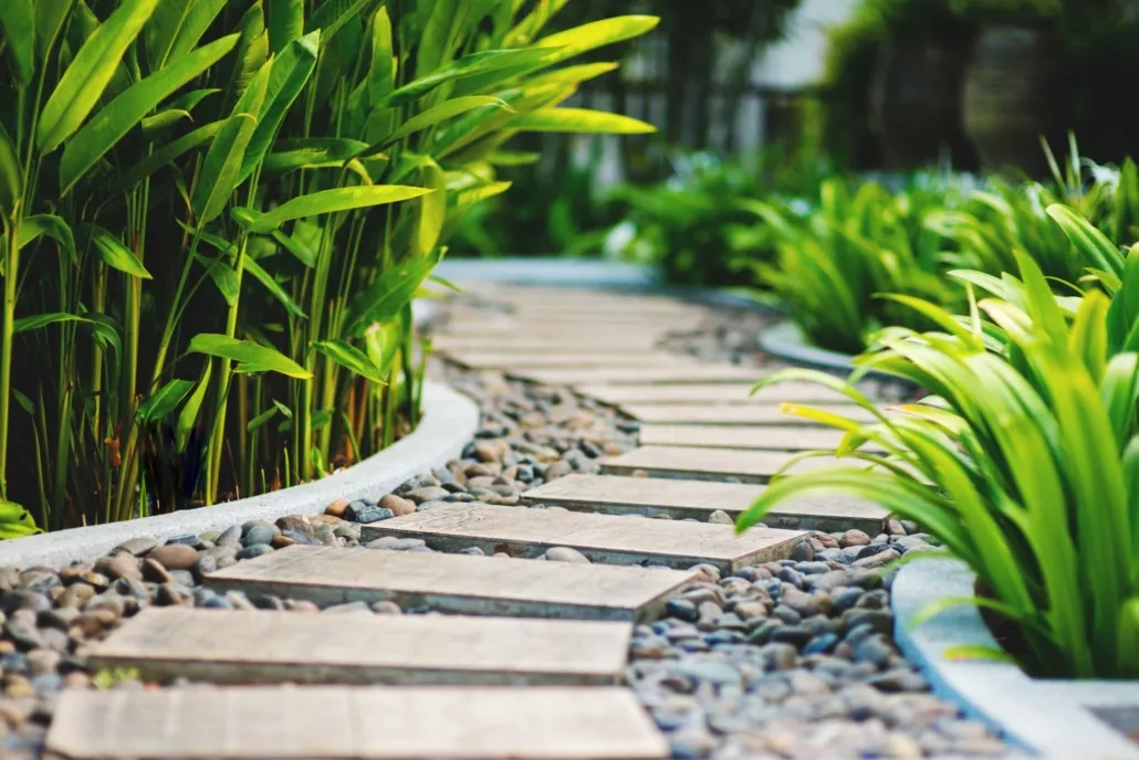 Winding garden path with paving slabs and green plants