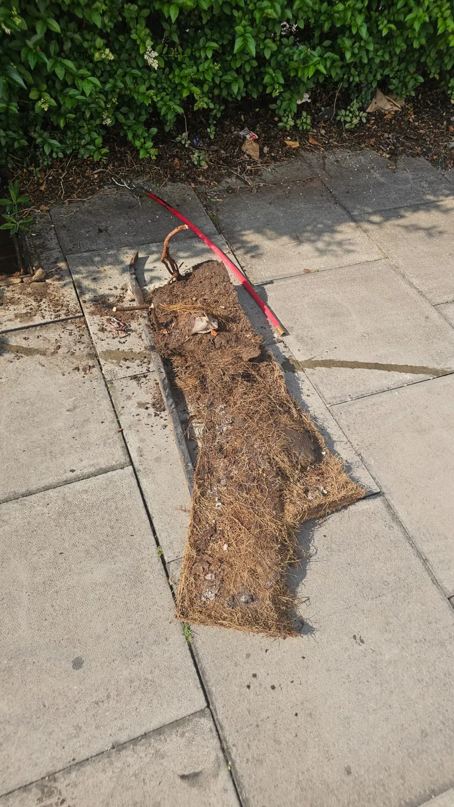 A picture showing a significant blockage of tree roots and soil that has been extracted from a drain, laid out on paving slabs next to a red drainage tool.