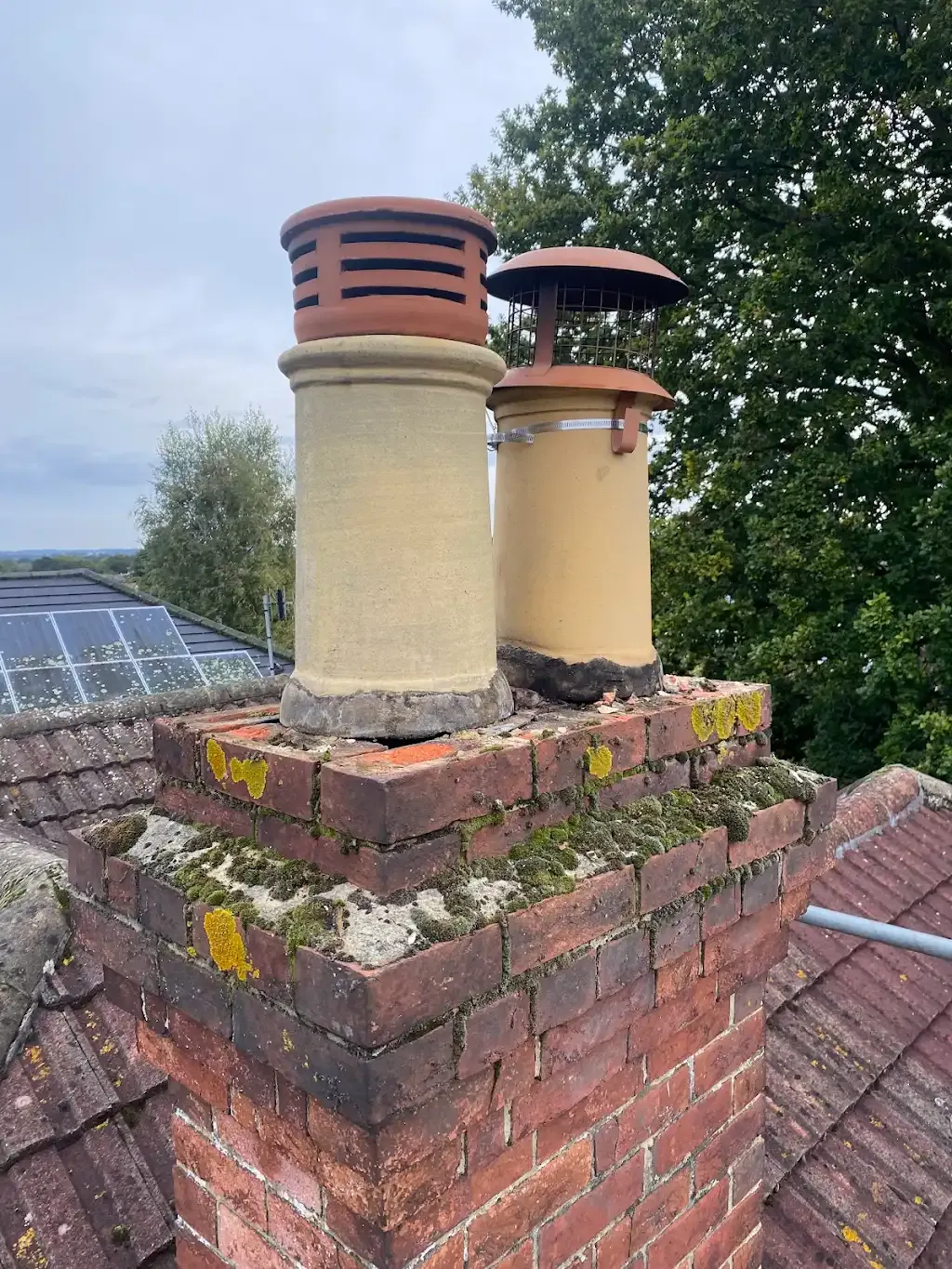 Chimney stack on tiled roof showing moss, lichen, and two chimney pots with cowls.