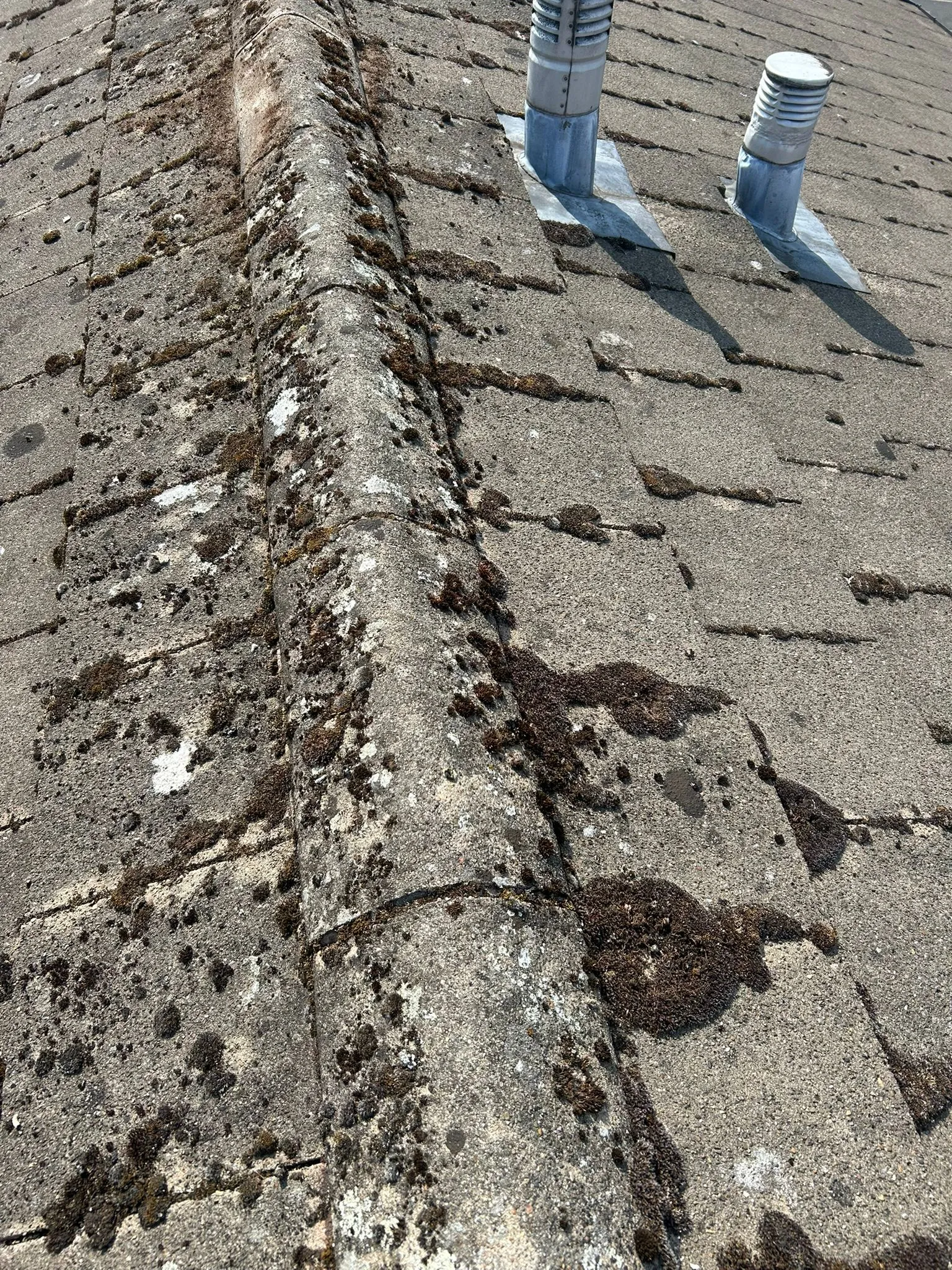 Detailed shot of a moss-covered concrete tile roof with a prominent ridge line and two metal vents, showing signs of weathering and biological growth.