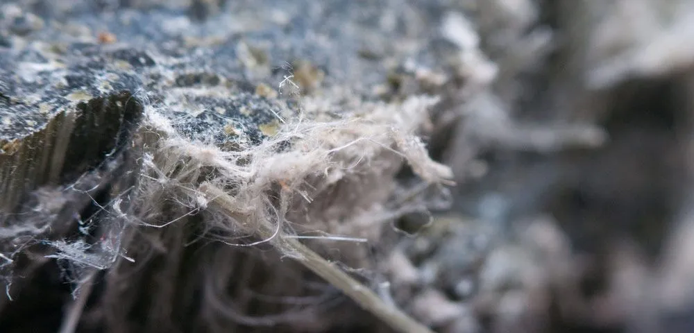 Close-up of asbestos fibres, showing their white, fibrous, and potentially hazardous nature.