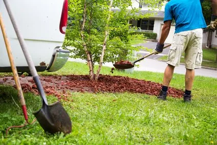 Garden Landscaping In Gillingham in Kent