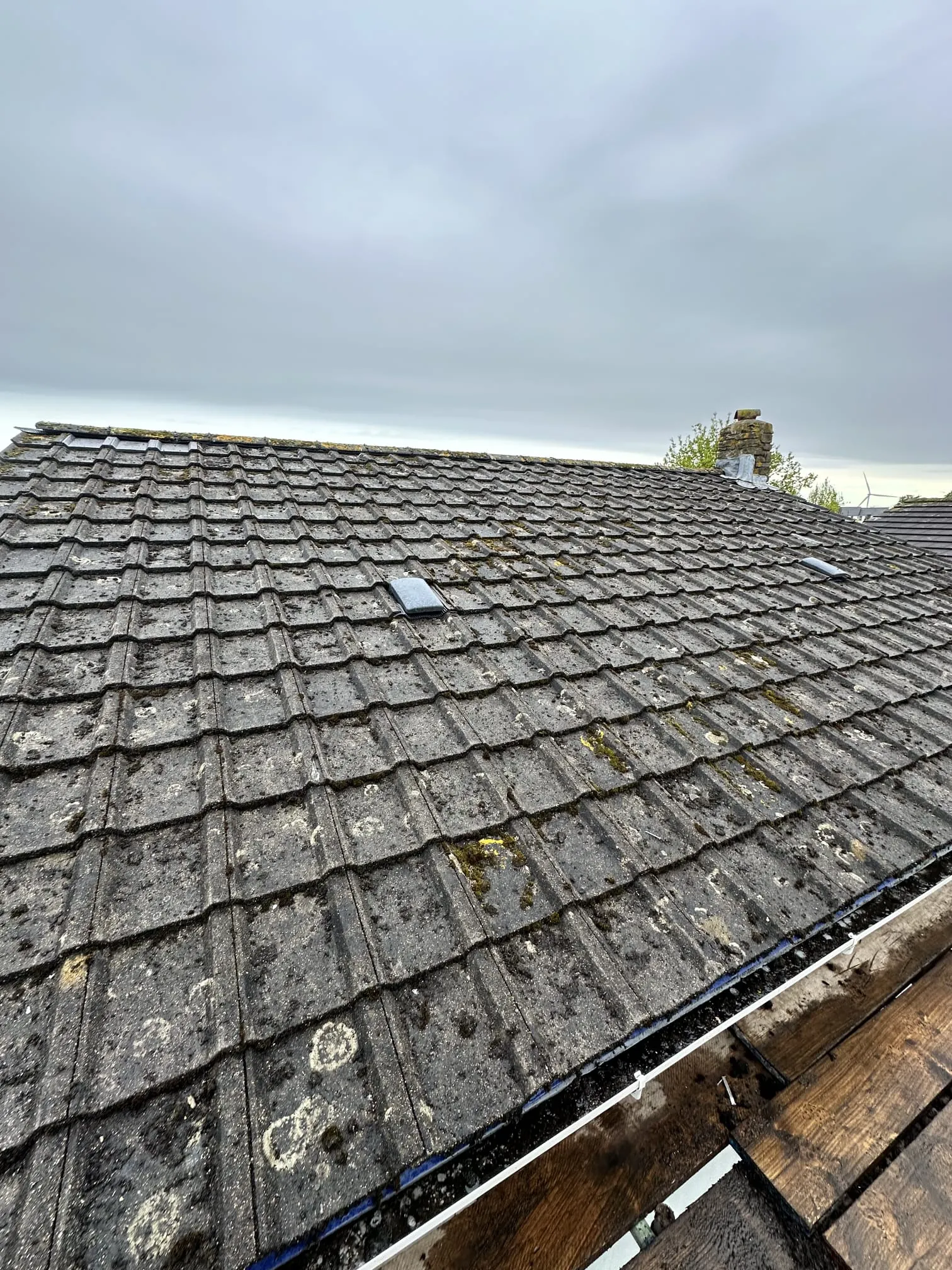 Mossy tiled roof with overflowing and blocked gutters.