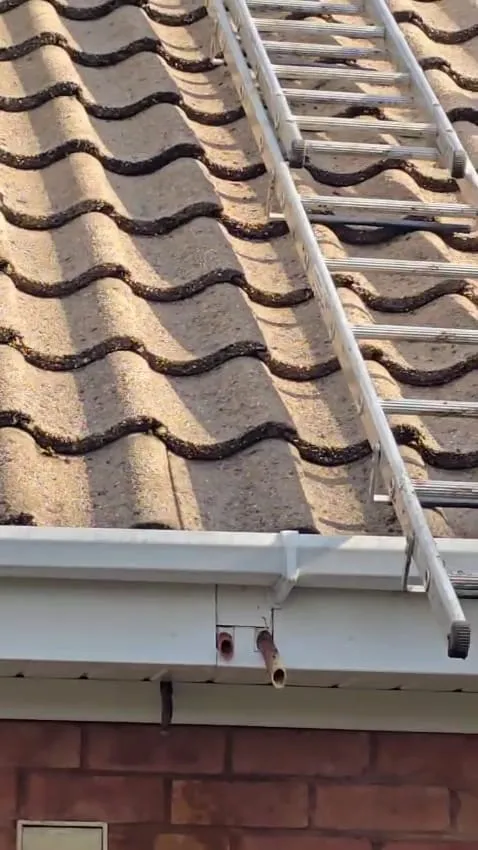 Ladder on residential tiled roof with uPVC guttering and soffit pipes