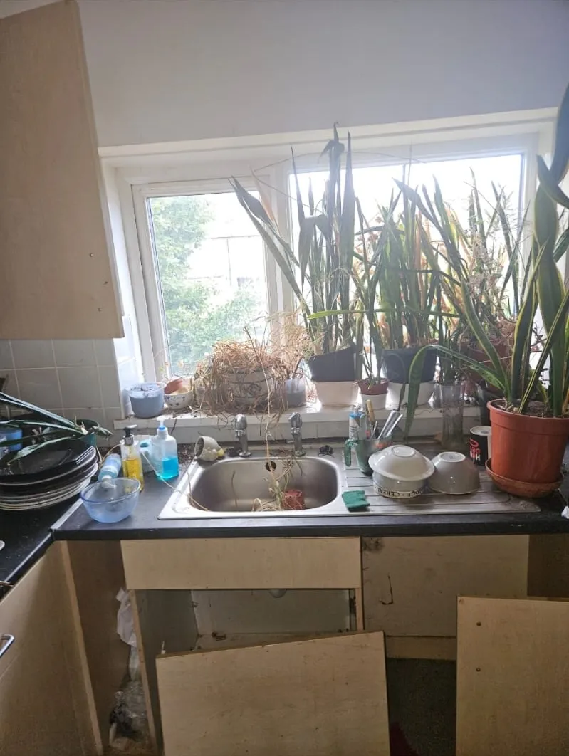 A very messy kitchen sink area with many plants, dirty dishes, and damaged lower cabinets, suggesting a property in need of hoarder or end-of-tenancy clearance services in North Wales.