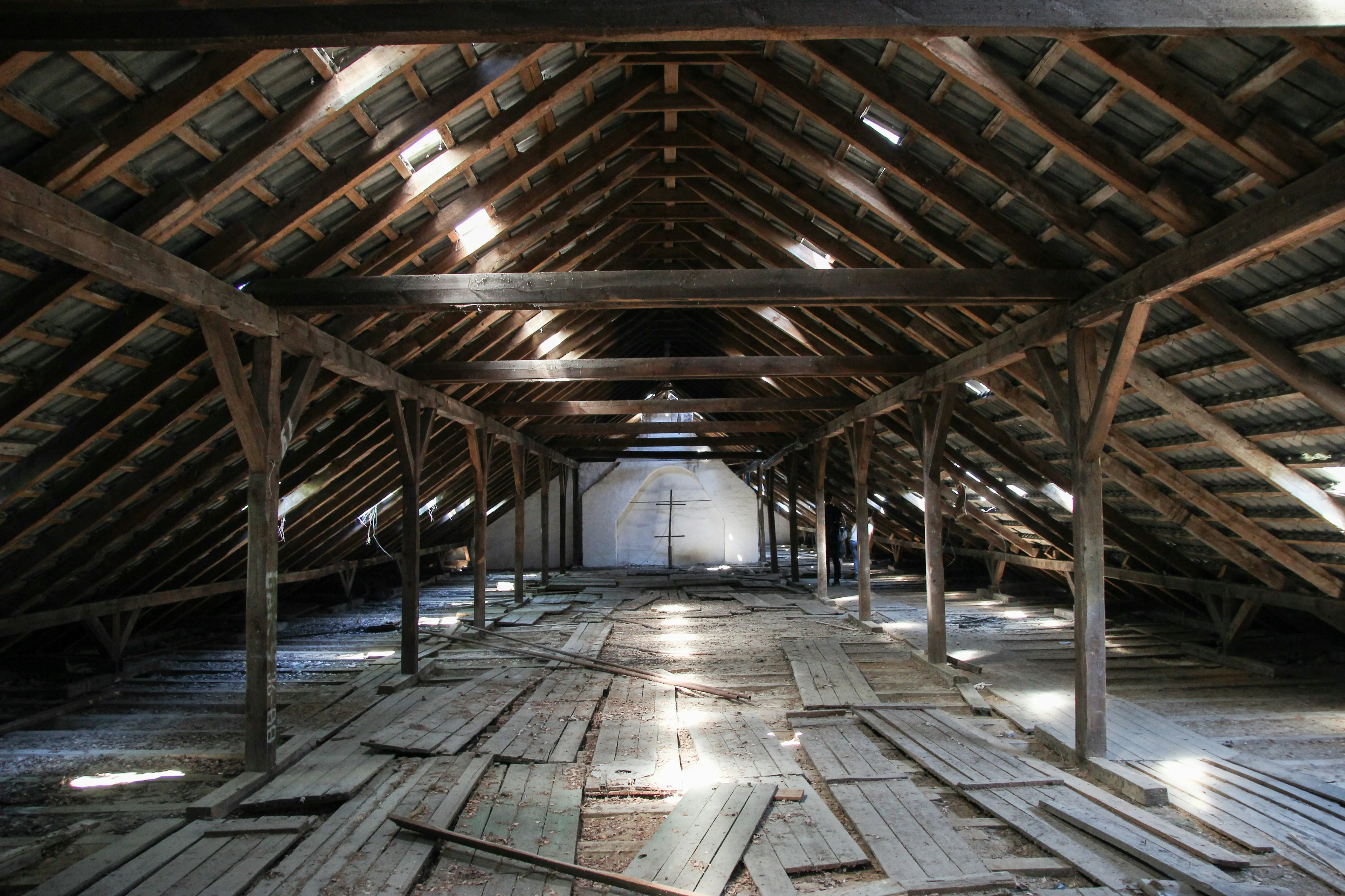 An old, spacious loft or attic with wooden rafters and roof, a typical location for pest infestations such as wasps, rats, or squirrels.