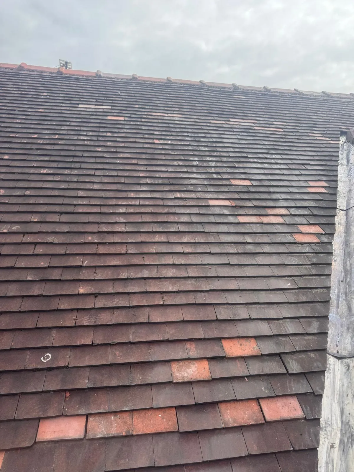 A close-up view of an aged tiled residential roof under an overcast sky, showing a mix of dark and lighter reddish-brown clay or concrete tiles.