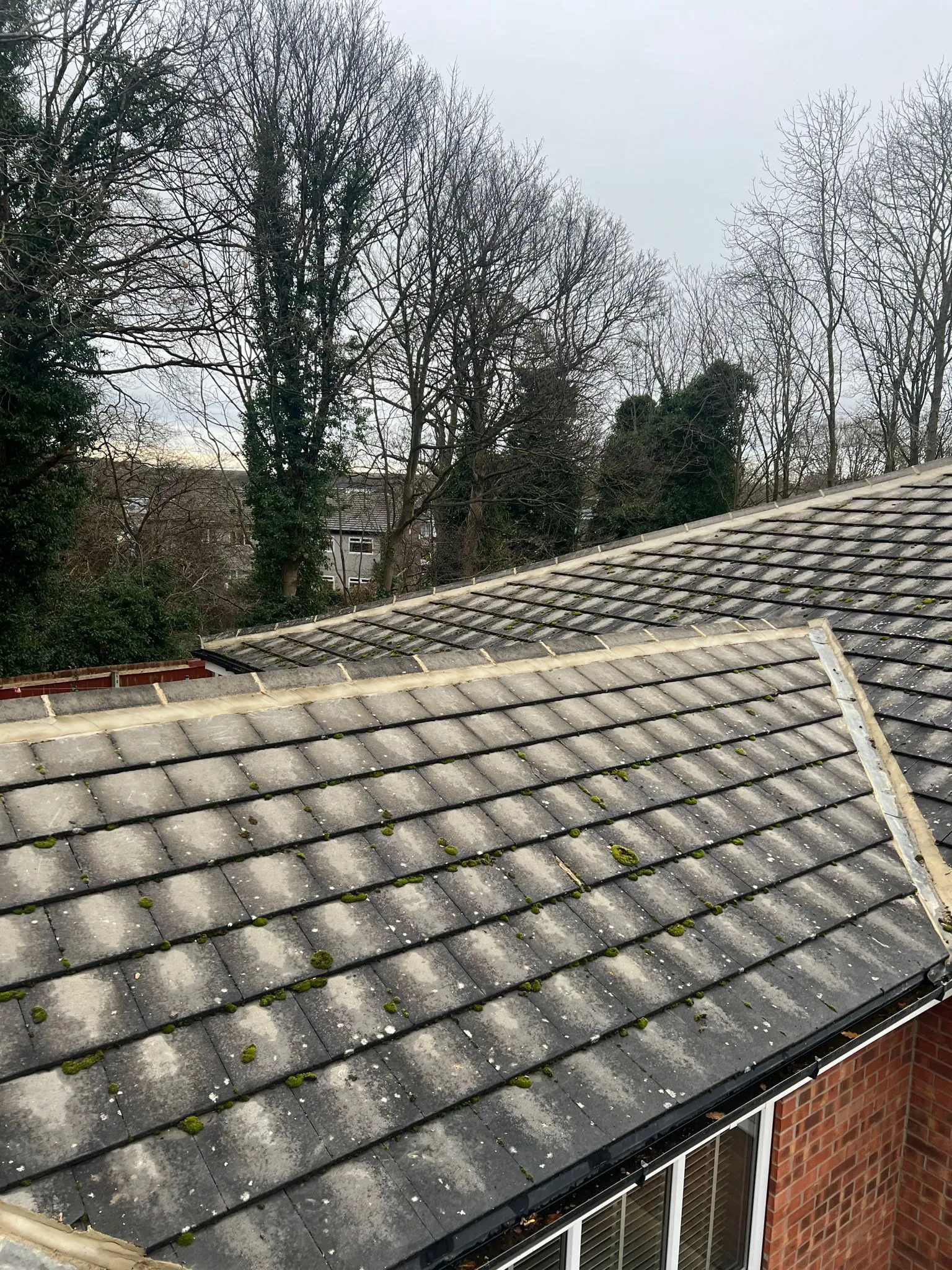New roof installation by Alliance Roofing Services