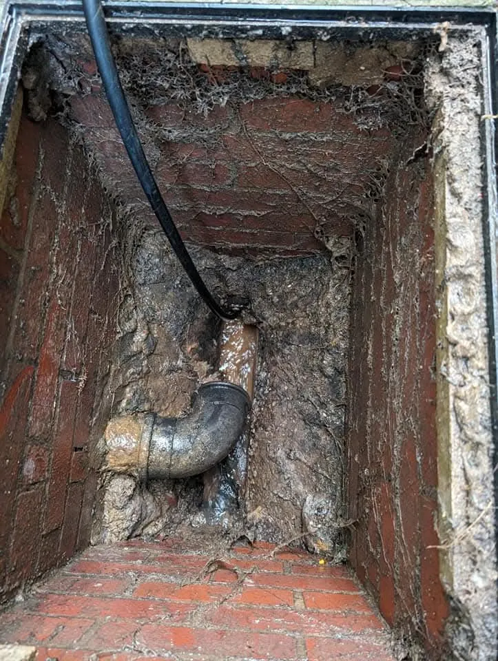 Drain inspection chamber showing roots blocking a pipe.