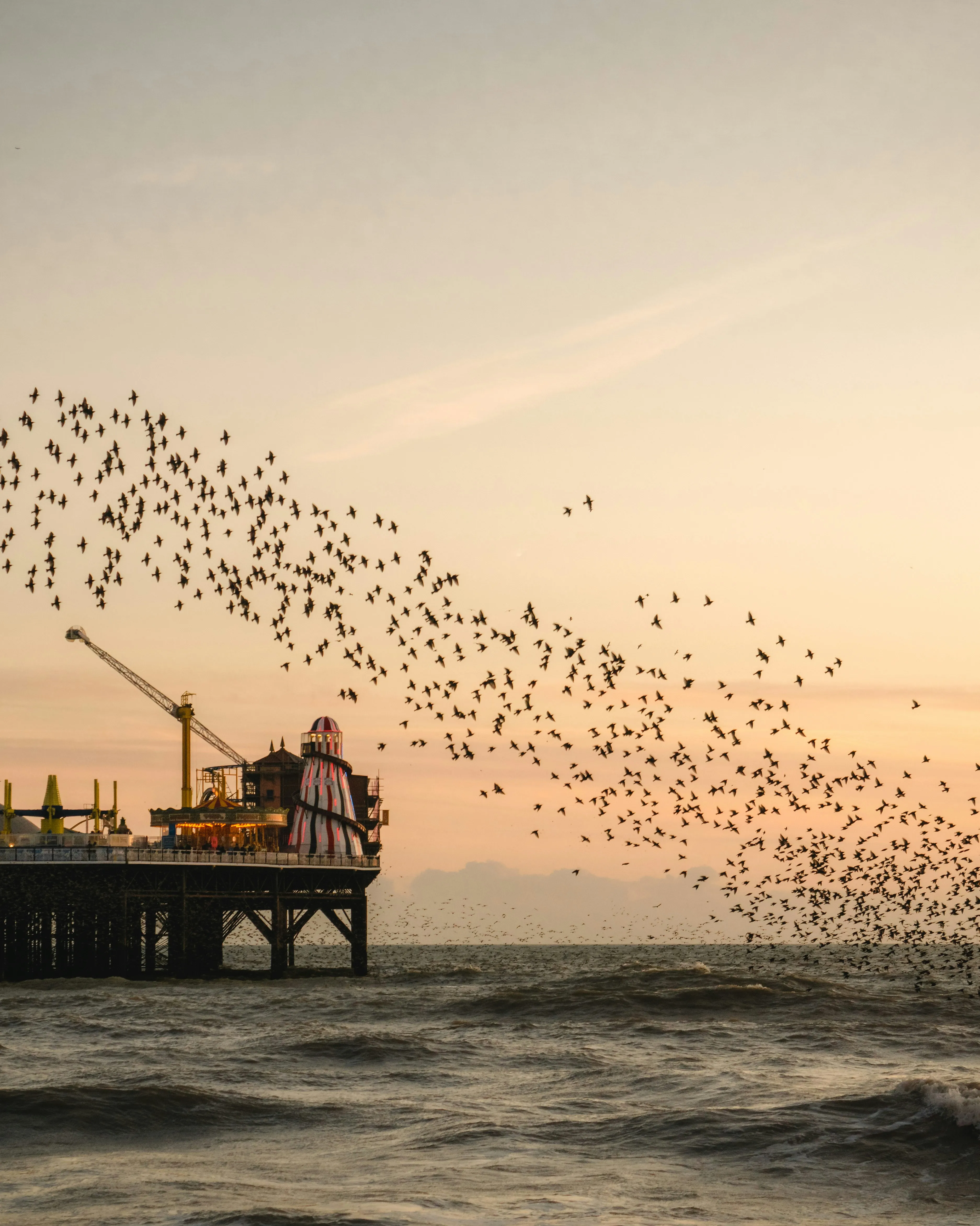 Murmuration of starlings flying over a pier at sunset on the Sussex coast, highlighting the local service area of UDR Properties Limited.