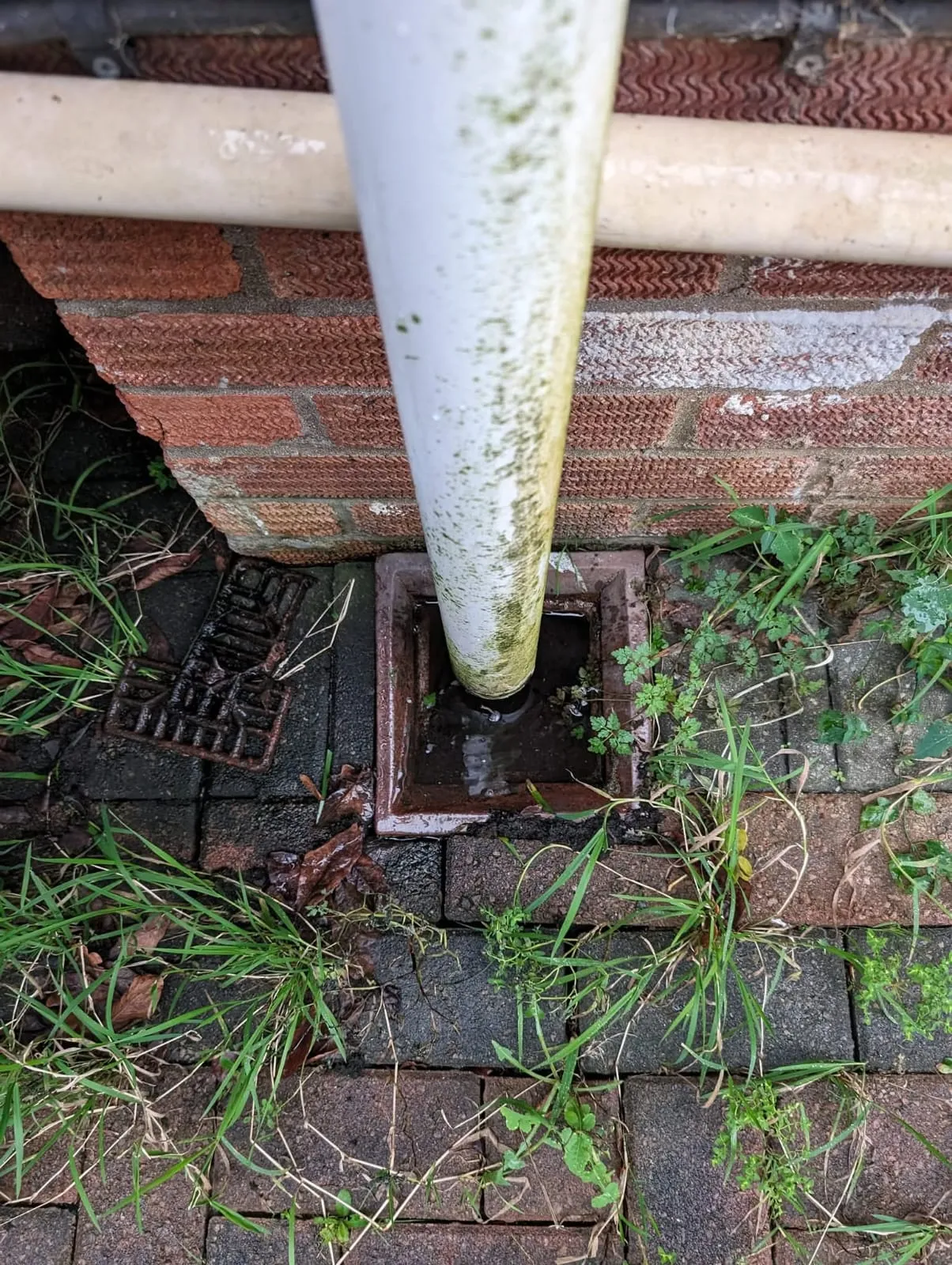 Overflowing outdoor drain requiring unblocking service.