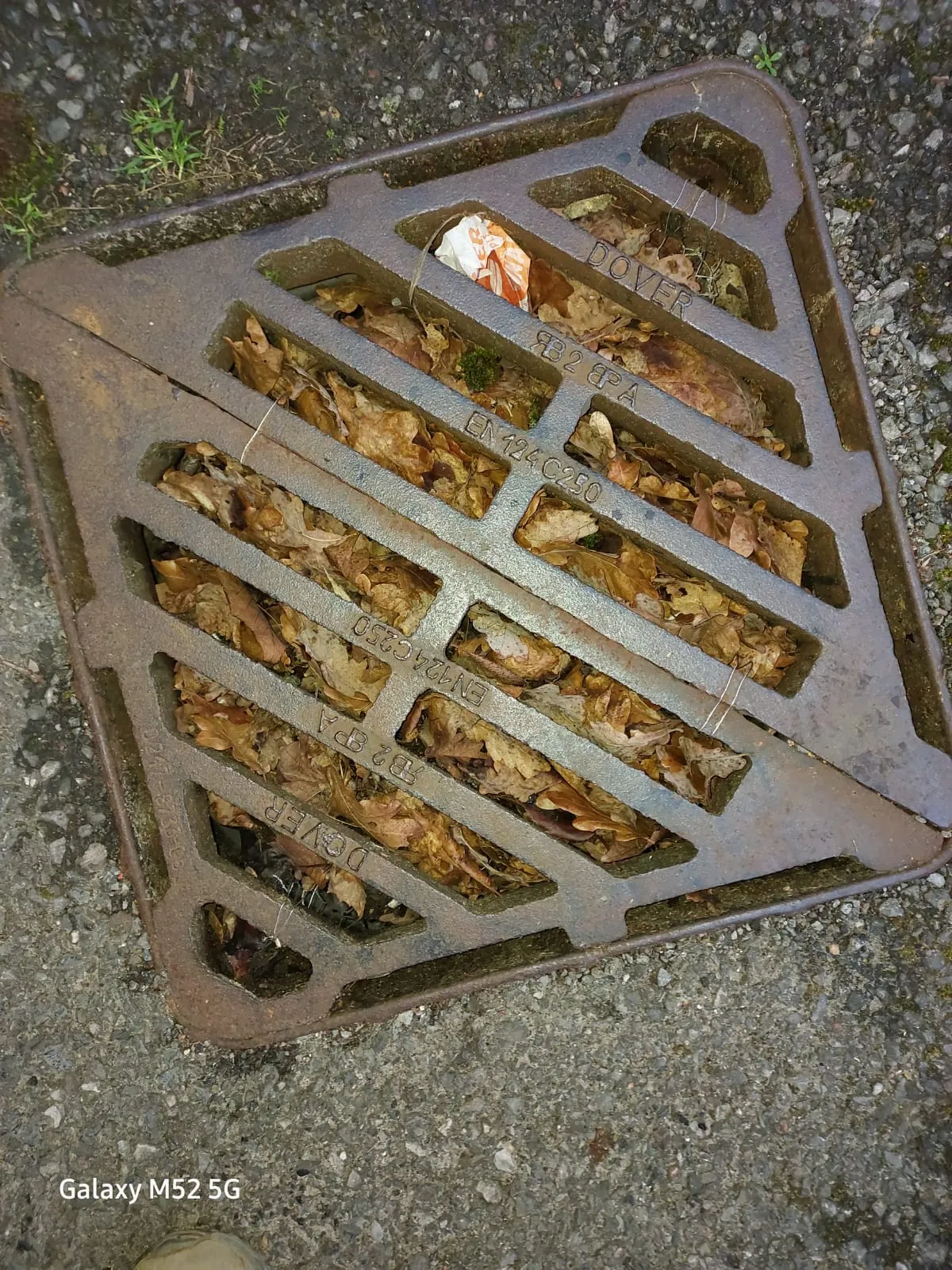 A blocked drain grate on the ground, full of leaves and debris, requiring unblocking.