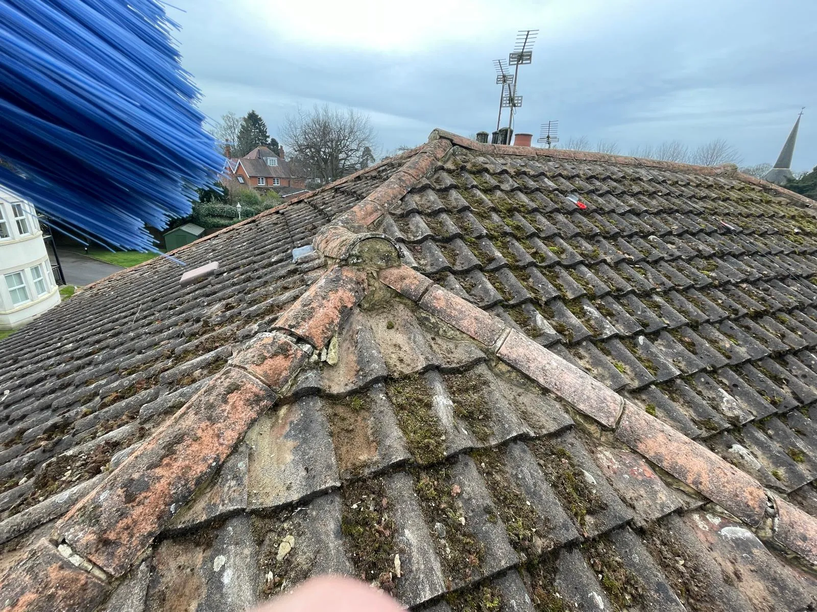 A tiled roof covered in thick green moss, with a blue cleaning brush indicating maintenance or moss removal.