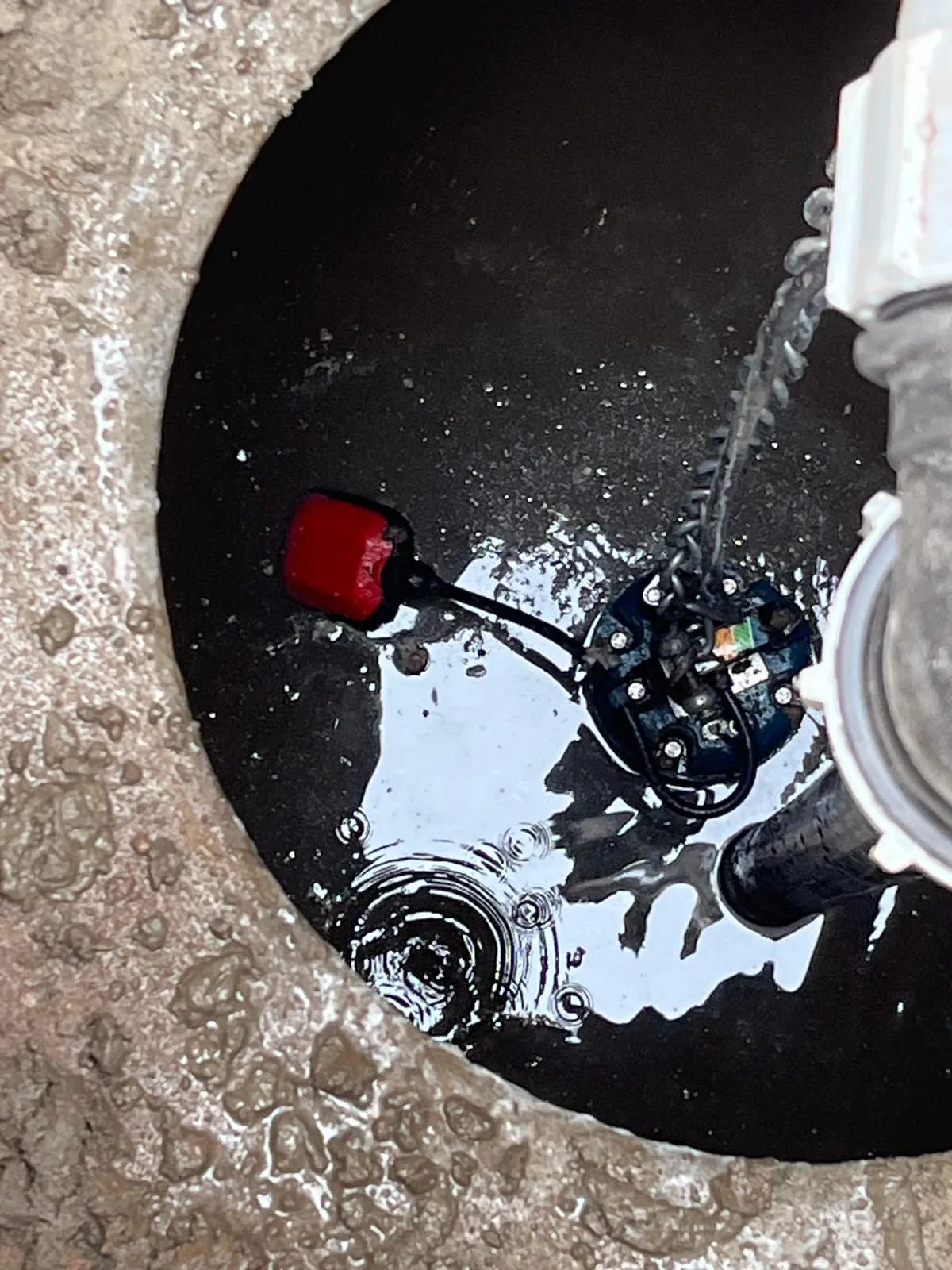 Submersible pump and red float switch in an active pump station.
